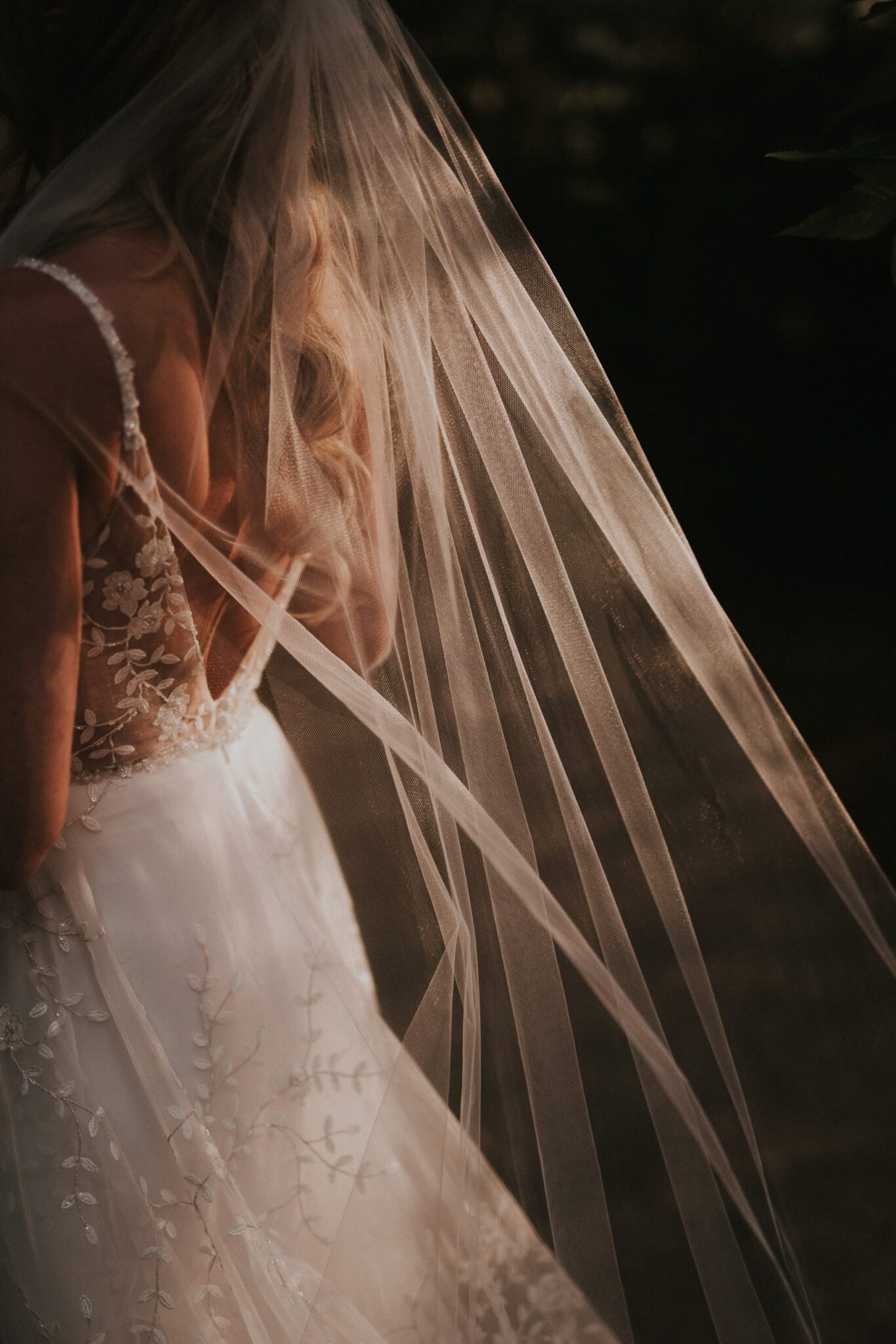Portrait-Header-0475 - Katie & Robert 2022 - FP204670